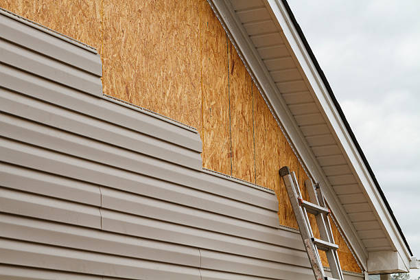Professional Siding Inspection technician working in Spring Hill, TN